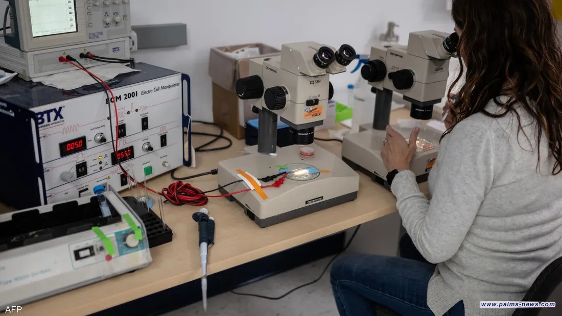 دراسة: الحمض النووي هدف "ثمين" للقرصنة الإلكترونية